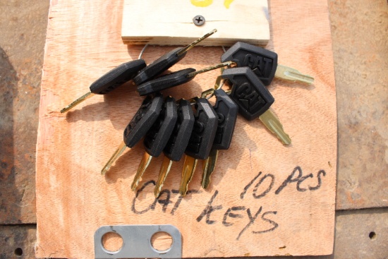 10 Piece Cat Equipment Key Set