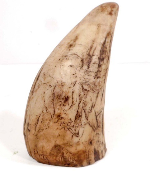 COMMODORE PERRY SCRIMSHAW WHALE TOOTH - RESIN