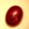 6.31 CT NATURAL! 6RAYS STAR RED MADAGASCAR RUBY OVAL CABOCHON