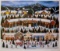 Jane Wooster Scott Alpine Winter Grandeur Hand Signed Limited Edition Lithograph