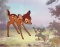 Disney Bambi & Thumper Limited Edition Sericel Animation Art