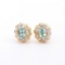 Plated 18KT Yellow Gold 1.3cts Blue Topaz and Diamond Earrings