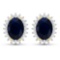 14KT Yellow Gold 2.60ctw Blue Sapphire and Diamond Earrings