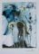 Dali Dalinean Horse Don Quixote Limited Edition Facsimile Signed Lithograph