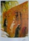Salvador Dali Wailing Wall Lithograph