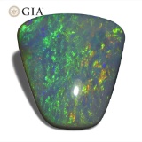 Huge Rare 8.01 Ct GIA Certified Natural Opal