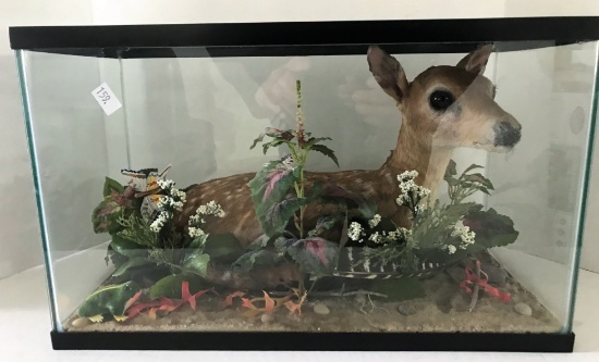 Fawn Mount in Aquarium