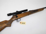 (R) Winchester 310 22 S.L.LR.