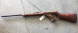 Daisy Pellet Gun
