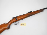 (CR) Cugir UMC 22 LR Training Rifle