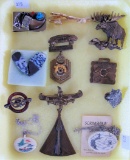 Scrimshaw Necklace, Clips, Pins, Pendants &