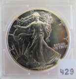 1989 Silver Eagle