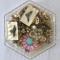 PINS, EARRINGS