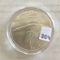 SILVER ROUND