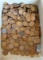 WHEAT CENTS