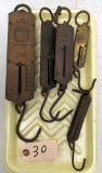 Brass Plated Scales