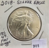 SILVER EAGLE