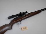 (R) Winchester 77 22 LR