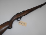 (R) Ruger 10/22 22 LR Carbine