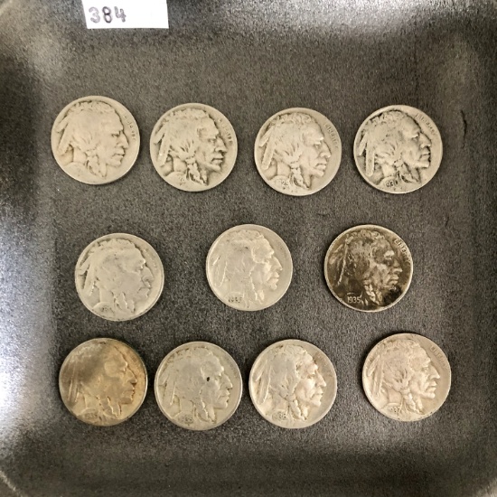 Buffalo Nickels (11),
