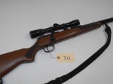 (R) Marlin 781 22 S.L.LR.