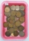 Large Pennies (61),