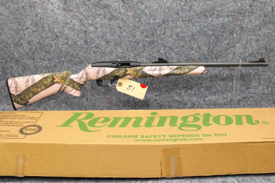 (R) Remington 597 22 LR