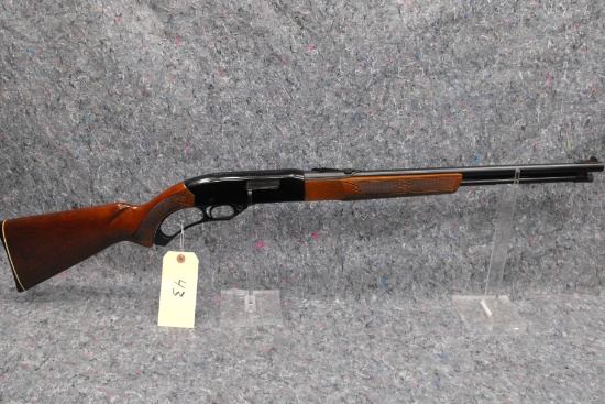 (R) Winchester 250 22 S.L.LR.