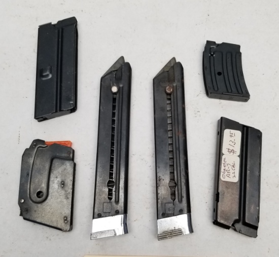 (6) Assorted 22 LR Mags