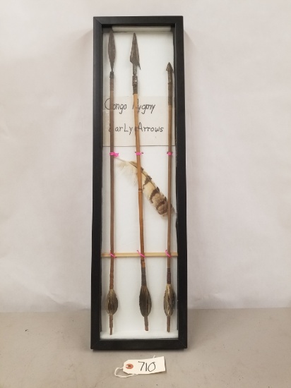 Early Congo Pygmy Arrows In Display