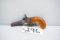 Antique SXS Percussion Double Barrel Pistol