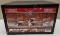 6pc Avian Topflight Gadwall Fusion Series Decoy's