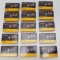 300rds PMC X-Tac 5.56mm 62GR LAP Ammo