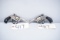 (CR) (2) H&R Double Action Revolvers