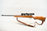 (R) Marlin Model 25N 