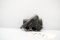 (CR) H&R Self Loading 1st Variation .25Acp Pistol