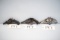 (CR) (3) Assorted Parts Revolvers