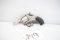 (CR) H&R Victor Double Action .38S&W Revolver