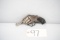 (CR) H&R Arms Safety Hammer DA .32S&W Revolver