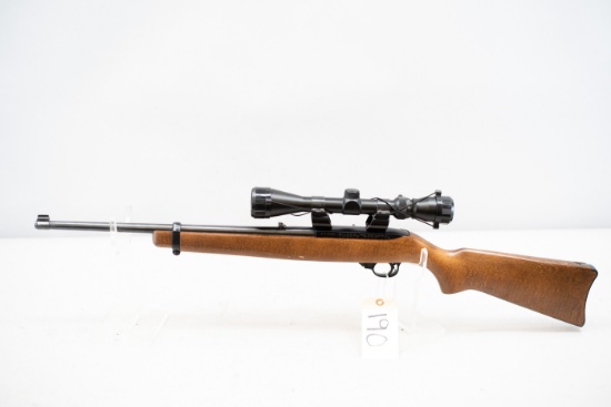(R) Ruger 10/22 .22LR Carbine Rifle
