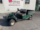 2017 Yamaha Gas Golf Cart W/ Utility Bed