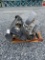 Used Bradco SG30 Quick Attach Stump Grinder