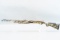 (R) Mossberg Model 835 Ulti-Mag Turkey 12 Gauge