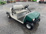 Carryall Turf2 Golf Cart
