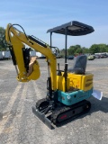 New 2024 Bigmaster DM100 Mini Excavator