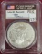 2013 Silver Eagle PCGS MS70 First Strike.