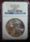 2010 Silver Eagle NGC MS69 (early release).