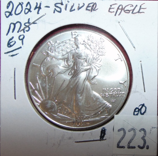 2024 Silver Eagle MS69. WOW!