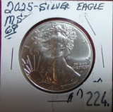 2025 Silver Eagle MS69. WOW!
