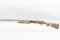 (R) Charles Daly Model 301 Camo 12 Gauge Shotgun